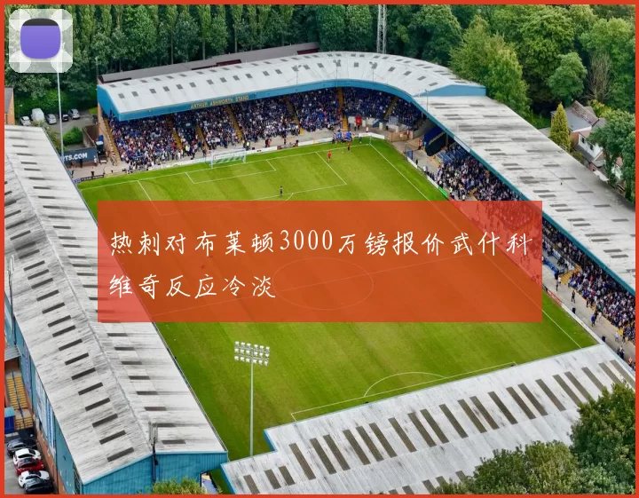 热刺对布莱顿3000万镑报价武什科维奇反应冷淡